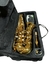 Saxofone Alto Corpo e Chaves Dourado c/ Estojo ZAS-600L - Zellmer (1214)