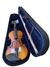 Violino 4/4 ZLM44AV C/ Bag Acústico Antique Fosco - Zellmer (1105) - loja online