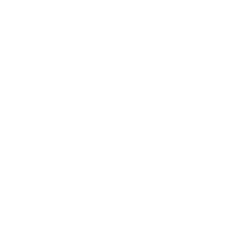 Amor de mis Amores