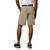 COLUMBIA SILVER RIDGE CARGO SHORT - tienda online