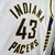 Camisa NBA Indiana Pacers 23/24 Branca #43 Siakam na internet