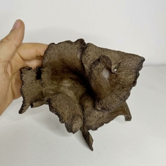 Maceta estilo kurama para plantas acompañantes alto 11.5 x ancho 16 cm (Sin drenaje) en internet