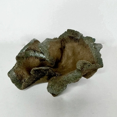 Maceta estilo kurama para plantas acompañantes alto 6 x ancho 19 cm - Takumi