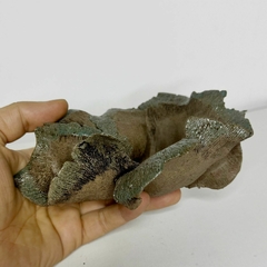 Maceta estilo kurama para plantas acompañantes alto 6 x ancho 19 cm en internet