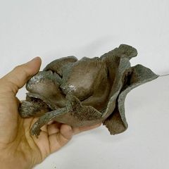 Maceta estilo kurama para plantas acompañantes alto 6 x ancho 19 cm