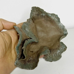 Maceta estilo kurama para plantas acompañantes alto 6 x ancho 19 cm - comprar online