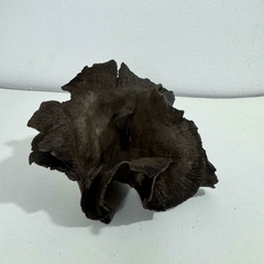 Maceta estilo kurama para plantas acompañantes alto 9 x ancho 15 cm en internet