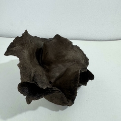 Maceta estilo kurama para plantas acompañantes alto 9 x ancho 15 cm - comprar online