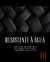 Brilha Pneus - Resistente à Água - Dritto Limpeza Automotiva