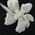 Aplique Flor Branca Cetim Enchimento Ramo - Strass Botões e CIA | Customize suas roupas! 