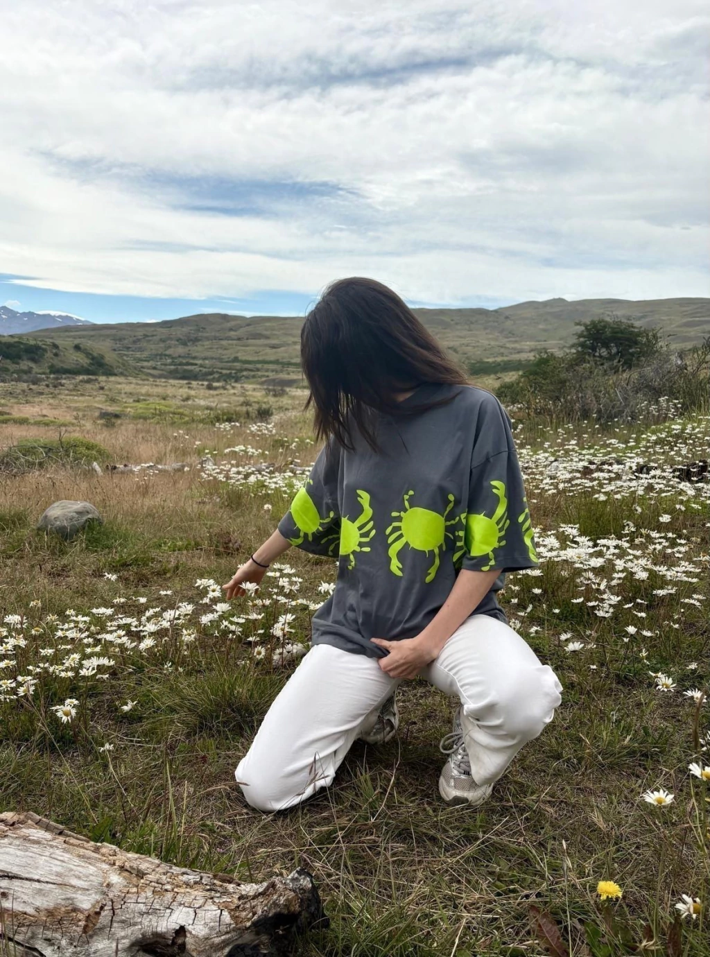 Remera CANGREJOS GRIS