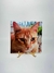 Azulejo Personalizado 20x20cm - comprar online