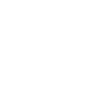 Mirrey VIP