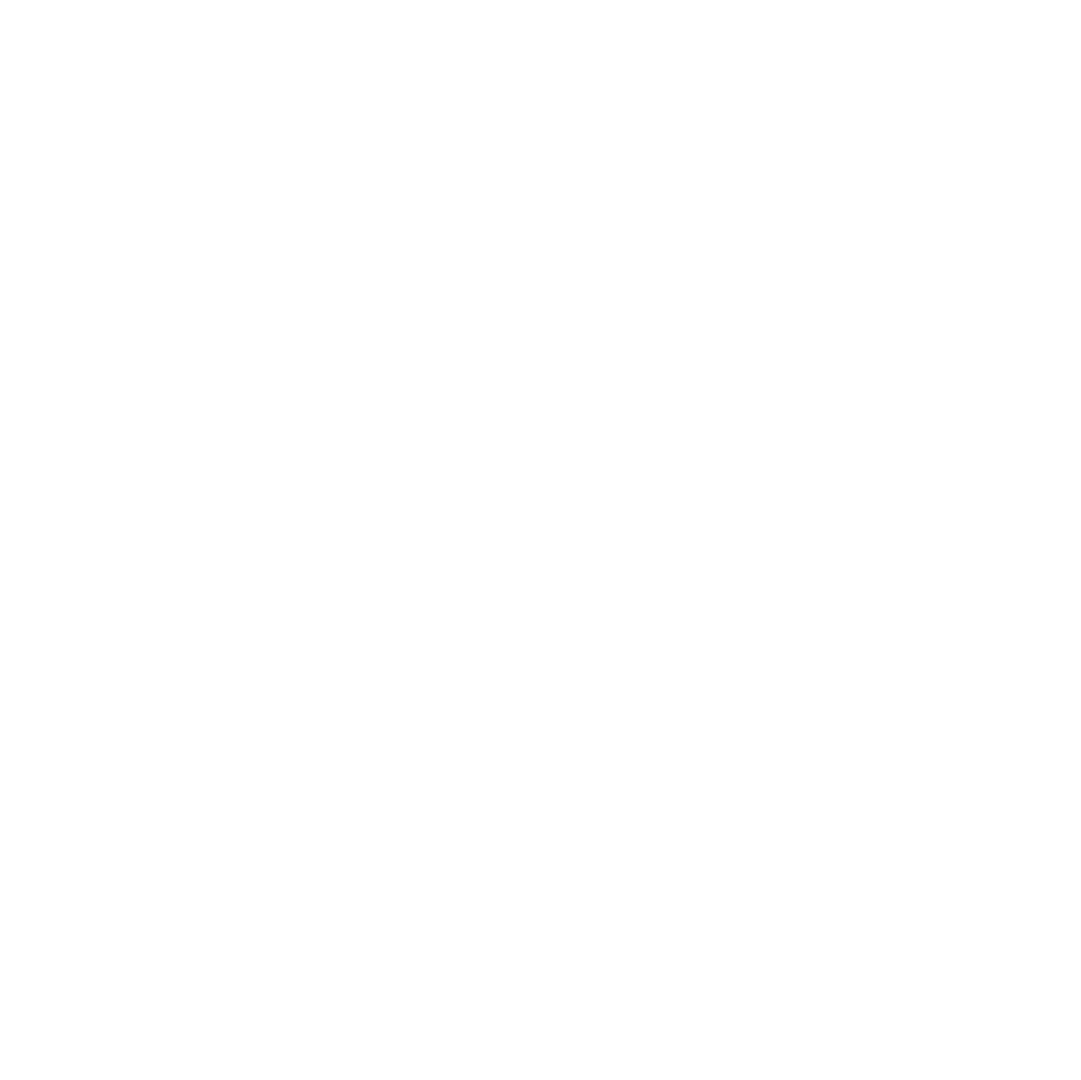 Mirrey VIP
