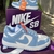 Nike Dank na internet