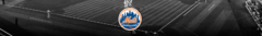 Banner de la categoría New York Mets