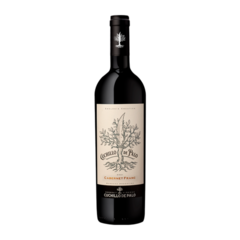 Cuchillo de Palo Cabernet Franc