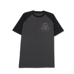 REMERA RANGLAN HOLY CALACA-GREY en internet