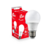 Lâmpada Led Bulbo 6W Bivolt Branco Frio 6500k Kian