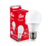 Lâmpada Led Bulbo 9W Bivolt Branco Frio 6500k Kian