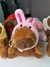 Llaveros Capibara Gorrito x 6 - Sukisukiregalos