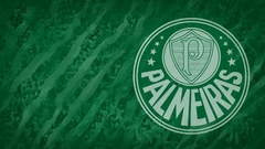 Banner da categoria Palmeiras