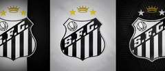 Banner da categoria Santos