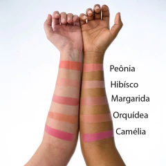 Margarida Pétala Bush - comprar online