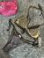 bikinis importadas - comprar online