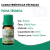 Óleo De Bálsamo De Copaíba 10ml