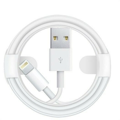 Cargador Iphone 5W en internet