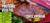Imagen del carrusel NutZ