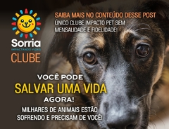 Banner da categoria Clube Sorria Impactando Vidas 
