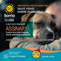 Imagem do Clube Sorria impactando vidas - Plano único - Salve vidas!