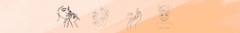 Banner de la categoría Rostro