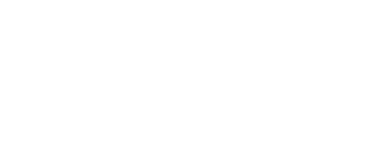 Sstazy Store