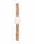 Correa SWATCH | ASVUP100M | Skin en internet