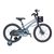 BICICLETA INFANTIL GW JOY RIN 20 MAGNESIO