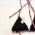 Bikini piezas sueltas - tienda online