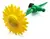 Aspersor / Regador Flor
