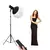 Kit Iluminador Profesional + Softbox 65x55cm + Trípode 2.10m Negro Blanco Cálido/frio/neutro - comprar online