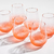 SET X 6 VASO ALTO FUEGO (0770AL24.S) - comprar online