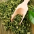Chá Verde 250g Brinco de Ouro na internet