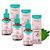 KIT 3X OLEO DE ROSA MOSQUETA 10 ML GOTAS CORPO E ROSTO - comprar online