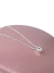 Colar Ponto de Luz Gota com Zircônia Cristal - Prata 925