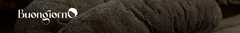 Banner da categoria Baguetes