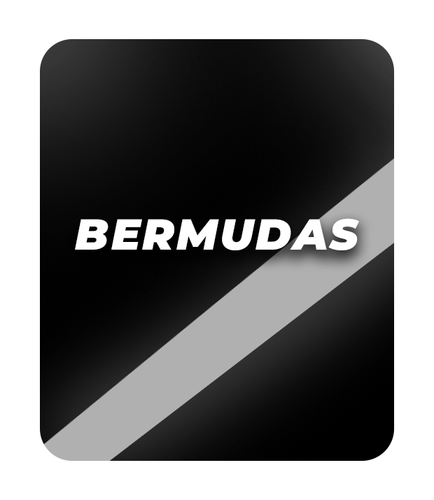 Banner de loja Gv imports