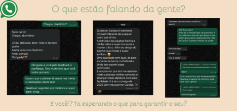 Carrossel 1