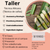 Taller de masaje de técnica africana con cañas