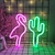 Cactus LED - ALGO ME LLEVO